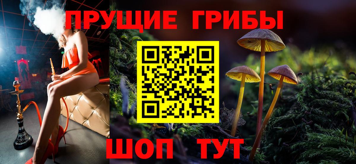 Кузнецк  Галлюциногенные грибы Magic Shrooms  Вход с VPN 